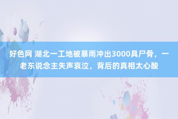 好色网 湖北一工地被暴雨冲出3000具尸骨，一老东说念主失声哀泣，背后的真相太心酸