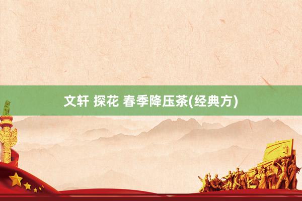 文轩 探花 春季降压茶(经典方)