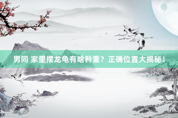 男同 家里摆龙龟有啥矜重？正确位置大揭秘！