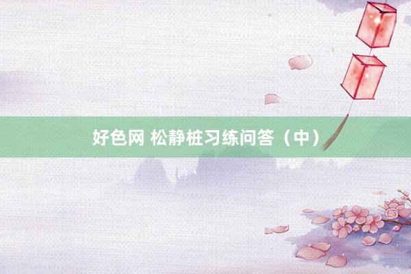好色网 松静桩习练问答（中）