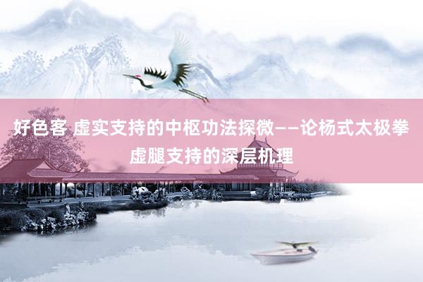 好色客 虚实支持的中枢功法探微——论杨式太极拳虚腿支持的深层机理