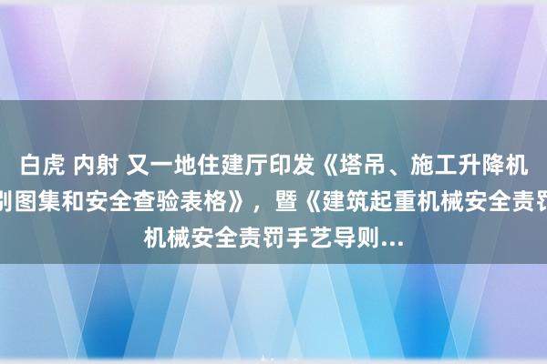 白虎 内射 又一地住建厅印发《塔吊、施工升降机安全隐患识别图集和安全查验表格》，暨《建筑起重机械安全责罚手艺导则...