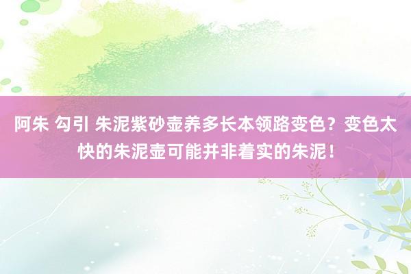 阿朱 勾引 朱泥紫砂壶养多长本领路变色？变色太快的朱泥壶可能并非着实的朱泥！