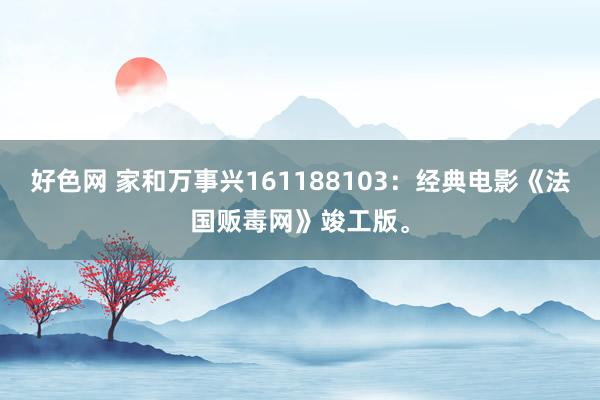 好色网 家和万事兴161188103：经典电影《法国贩毒网》竣工版。